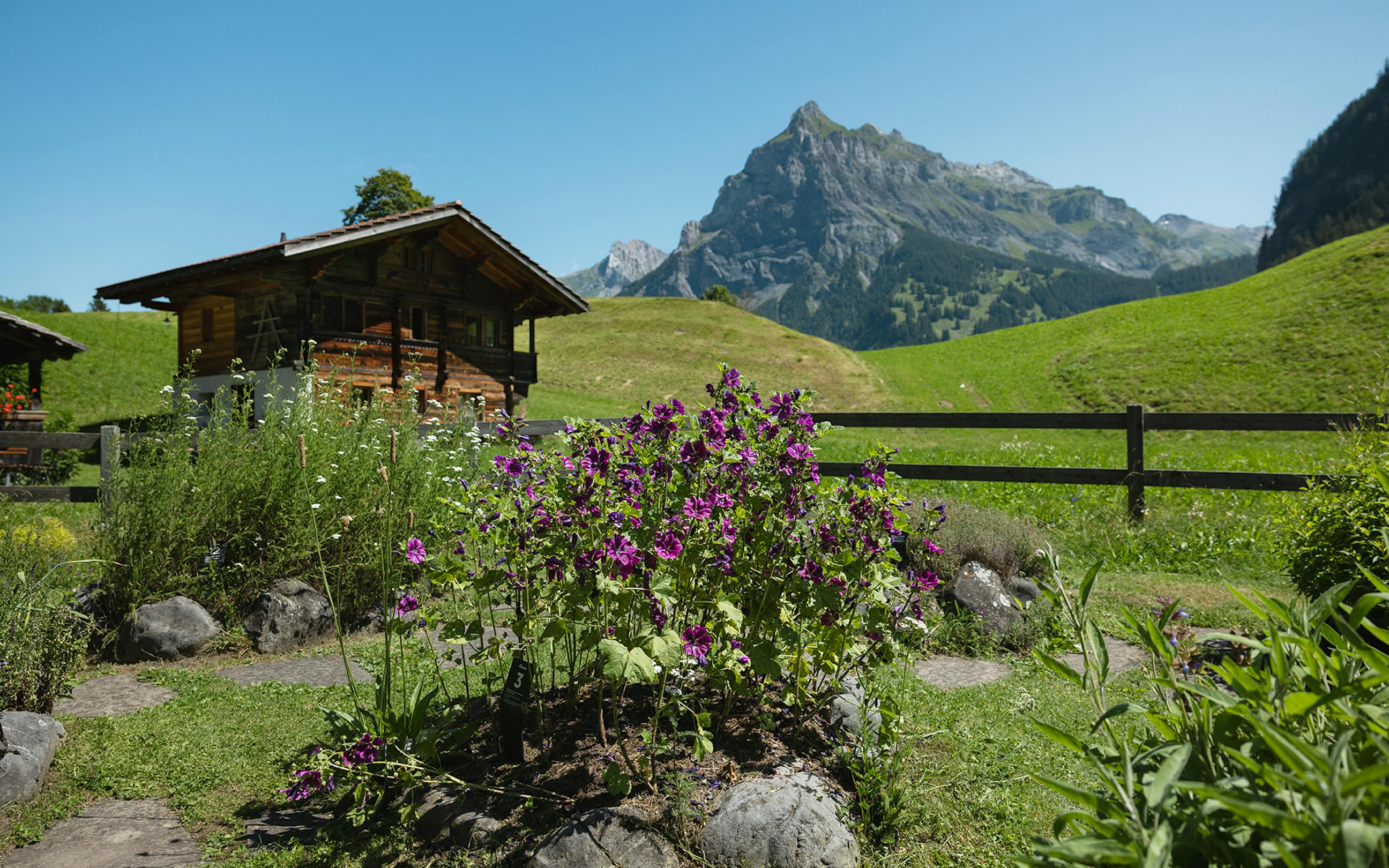 Ricola Kräutergarten Kandersteg